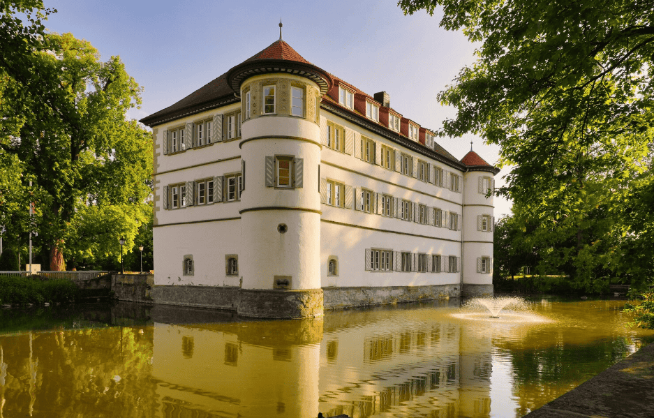 Single Services Image