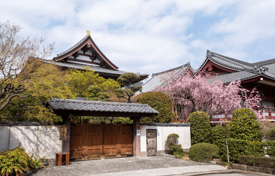 Single Services Image